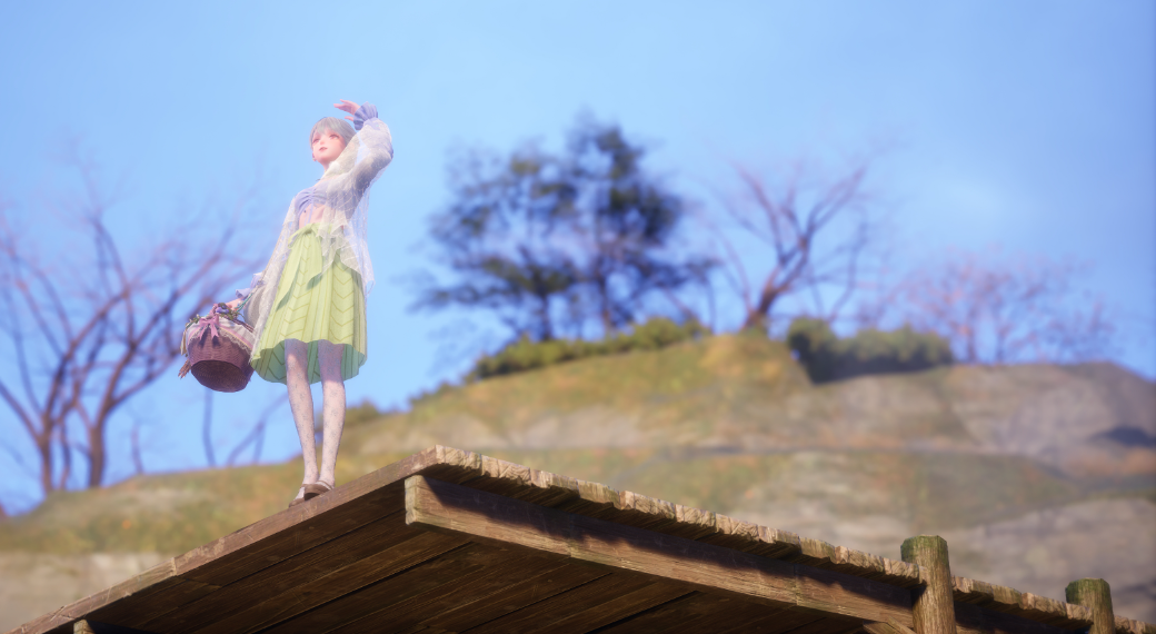 Nikki image