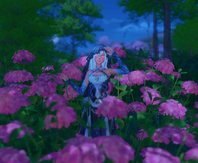 Nikki image