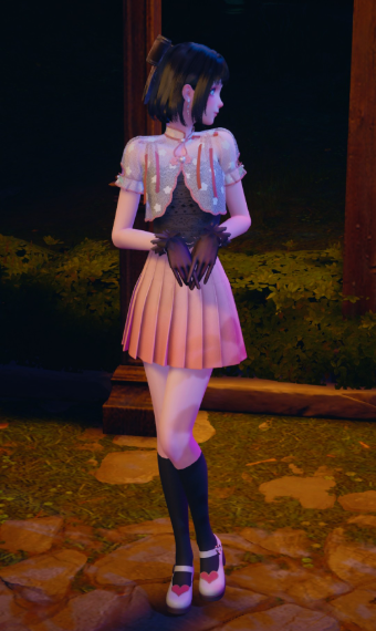 nikki image