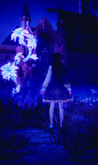 Nikki image