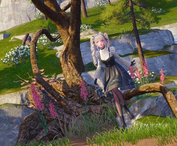 Nikki image