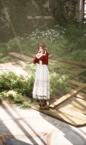 Nikki image