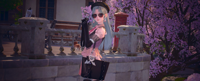 nikki image