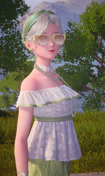 nikki.Name
