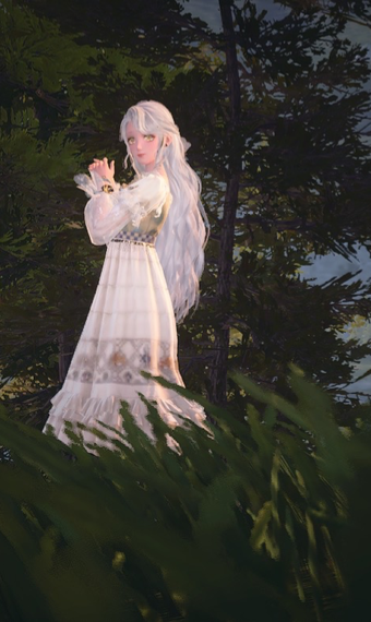nikki image
