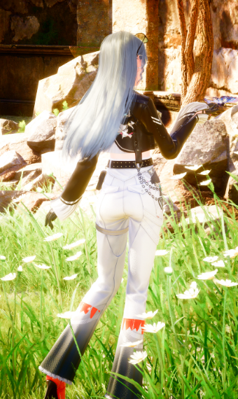 Nikki image