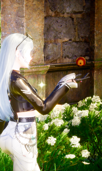 Nikki image