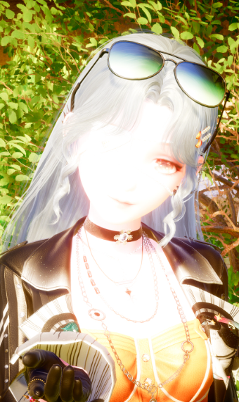 Nikki image
