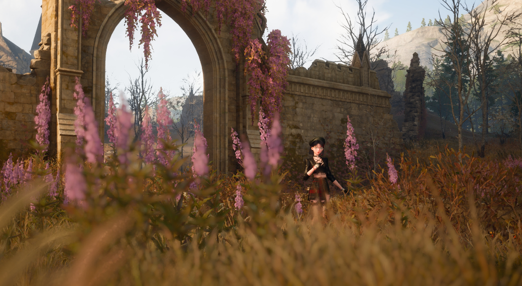 Nikki image