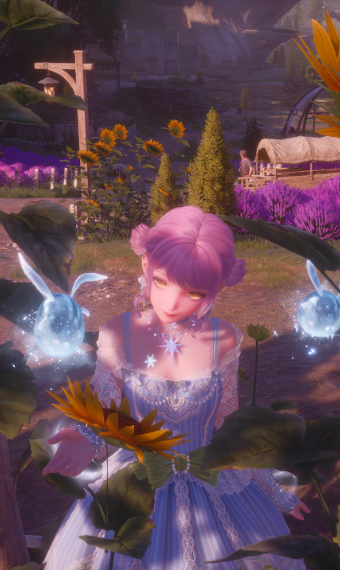 Nikki image