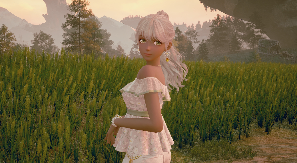 Nikki image