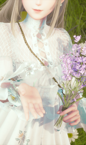 Nikki image