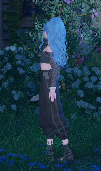 Nikki image