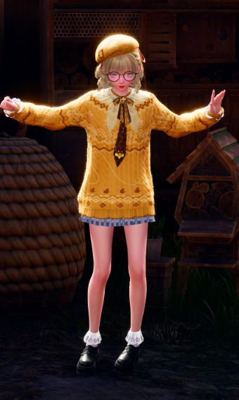 Nikki image