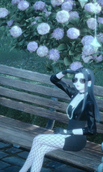 Nikki image