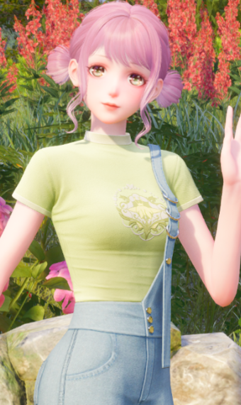 Nikki image
