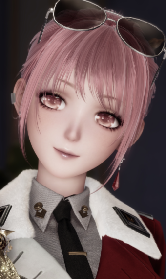 Knight Captain Michelle image
