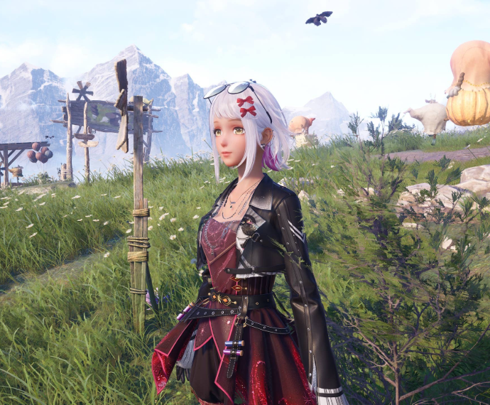 Nikki image