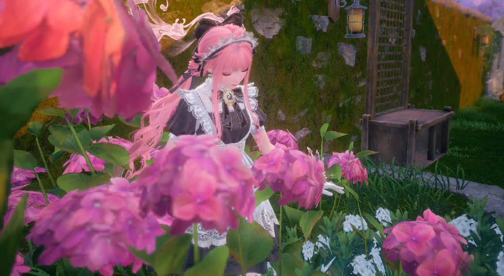 Nikki image