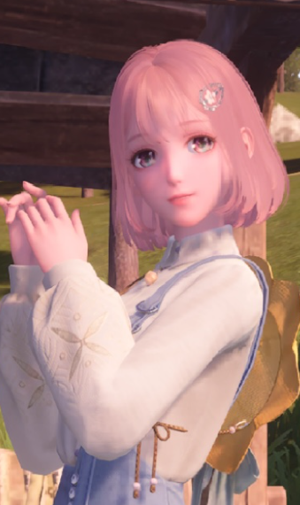 Nikki image