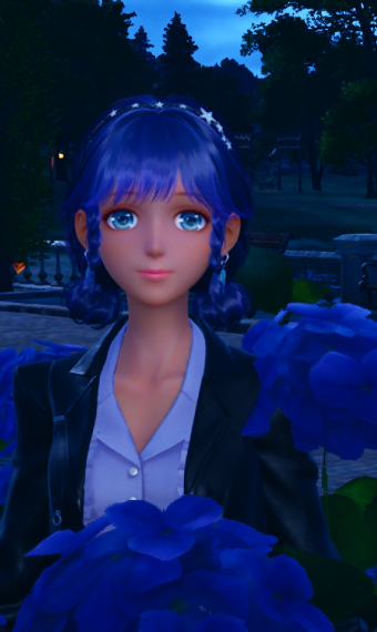 Nikki image