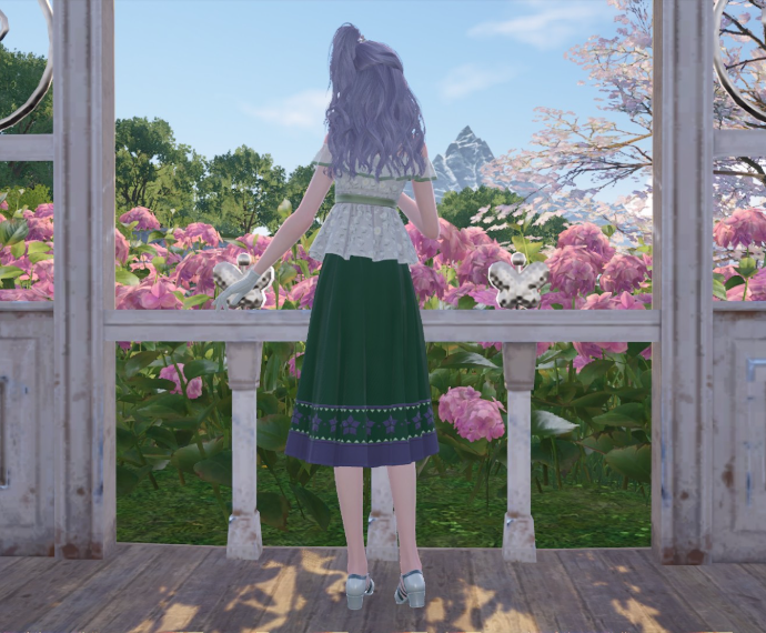 Nikki image