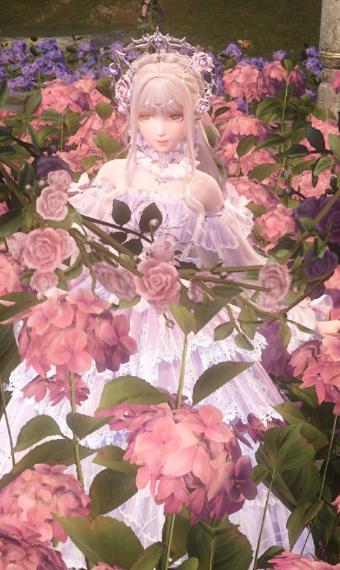 Nikki image