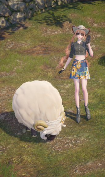 nikki image