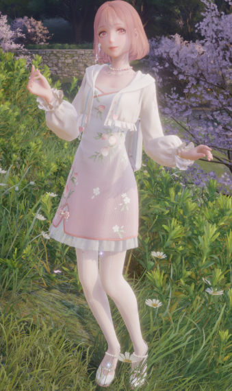 Roise image
