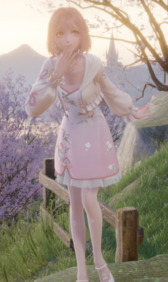 Nikki image