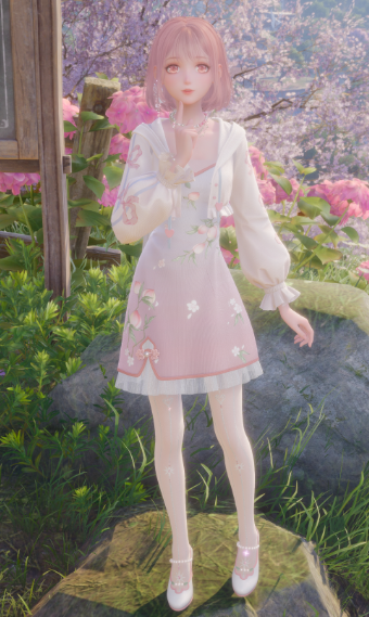 Nikki image
