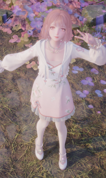 Nikki image