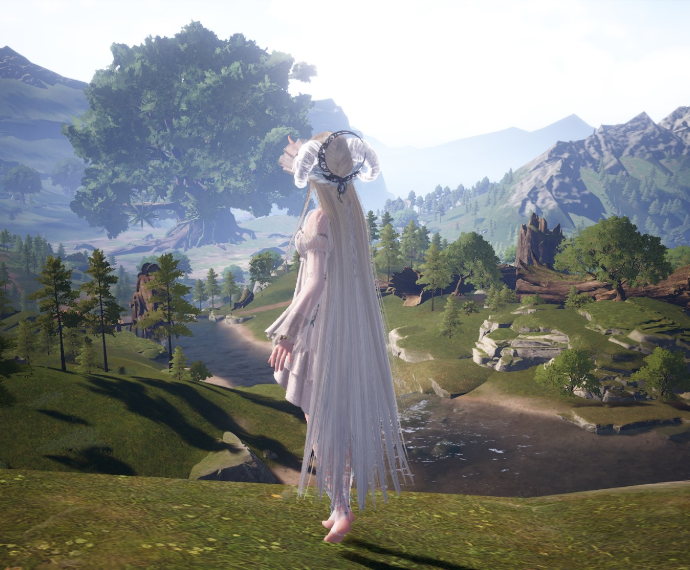 Nikki image