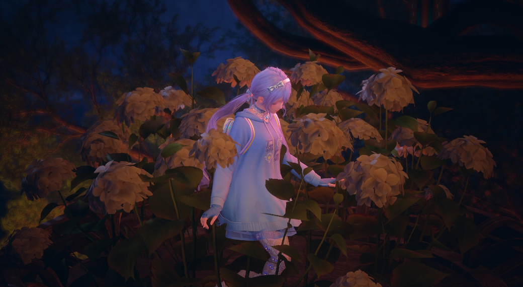 Nikki image