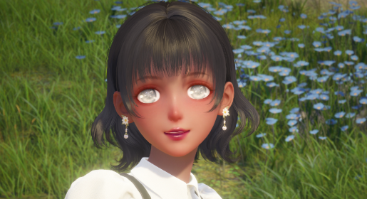 nikki image