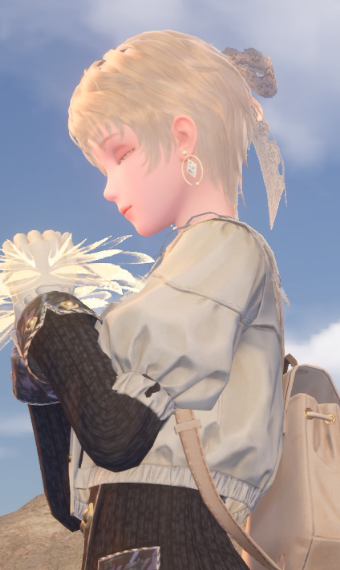 Nikki image