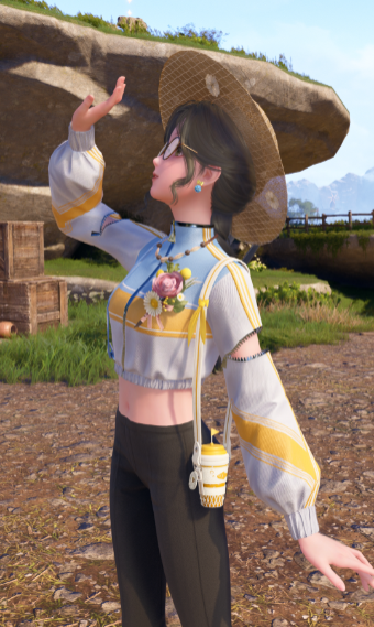 Nikki image