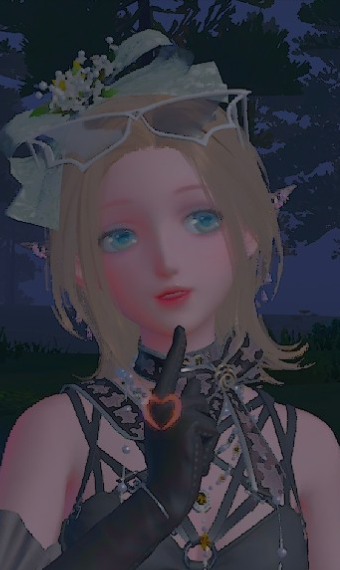 Nikki image
