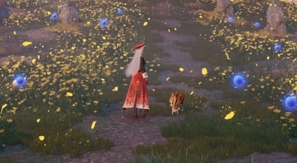 Nikki image