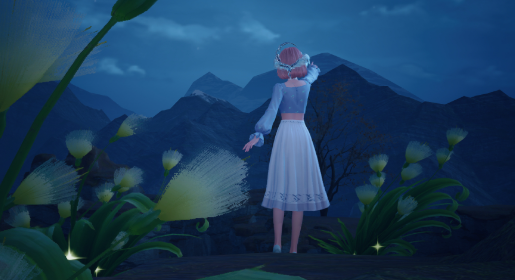 nikki image