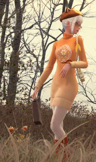 Nikki image