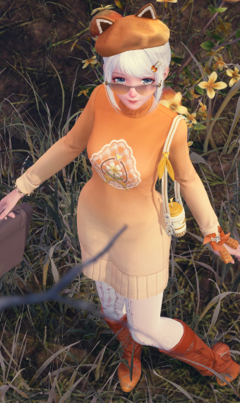 Nikki image