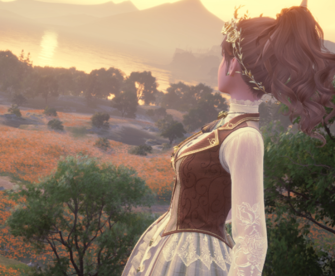 Nikki image
