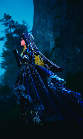 Nikki image