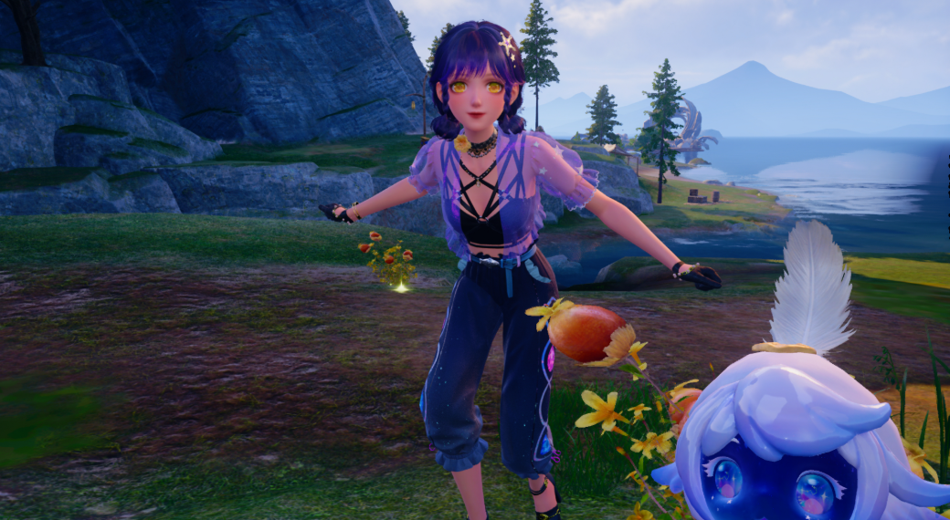 Nikki image
