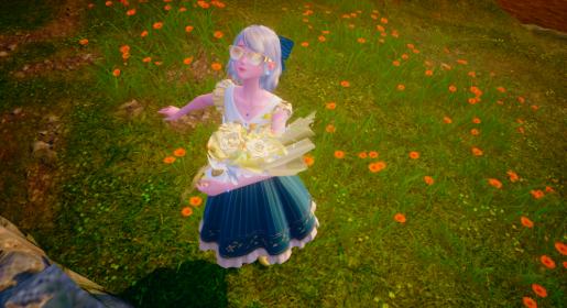 nikki image