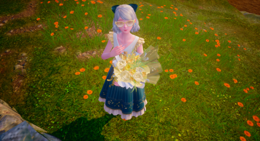 nikki image