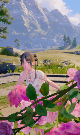 Nikki image