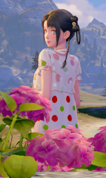 Nikki image