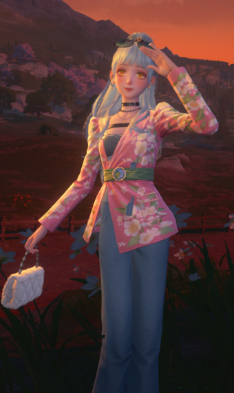 Nikki image